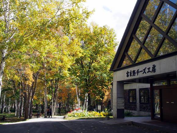 富良野チーズ工房
